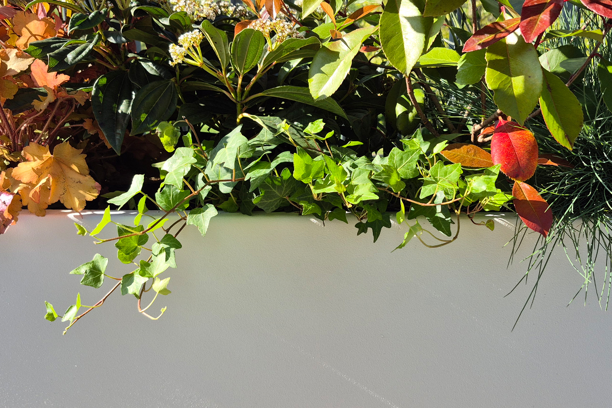 Plantenbak-Totaal-Foto-Drieluik-Polyester-03