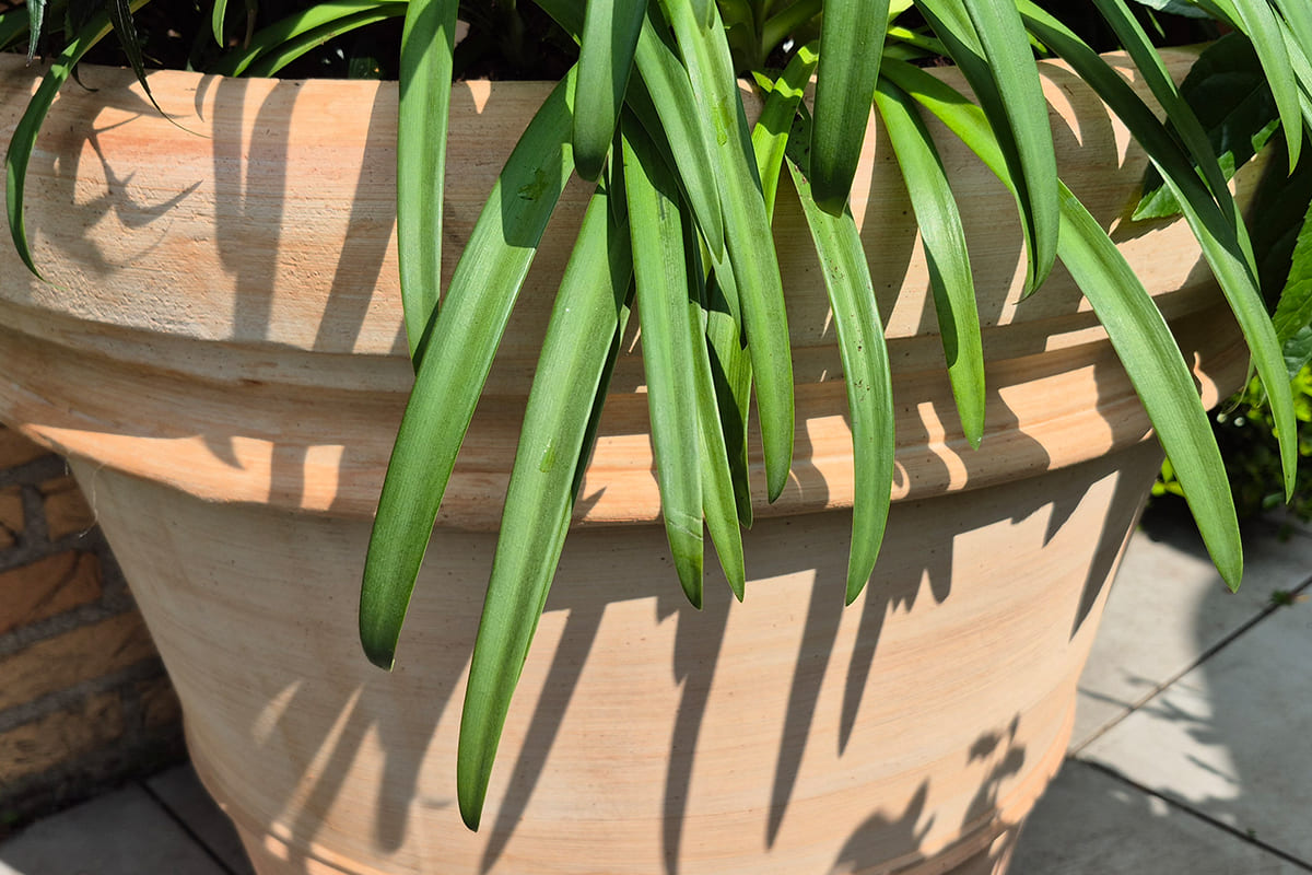 Plantenbak-Totaal-Foto-Drieluik-Terracotta-01